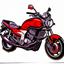 Icon_motorcycles_domain